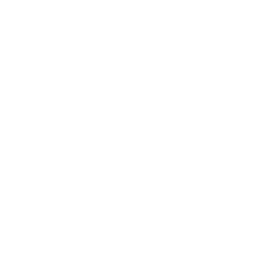 Chevron left icon